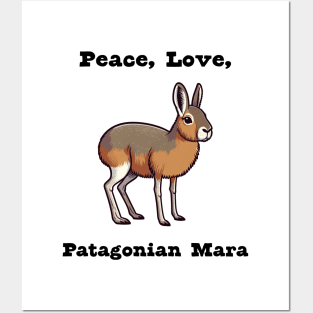 Patagonian Mara Posters and Art